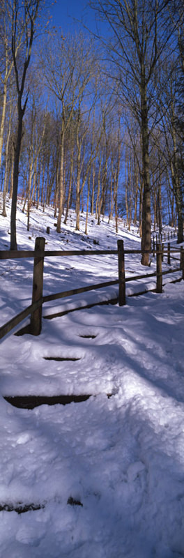 Millington Steps in Winter - East Yorkshire