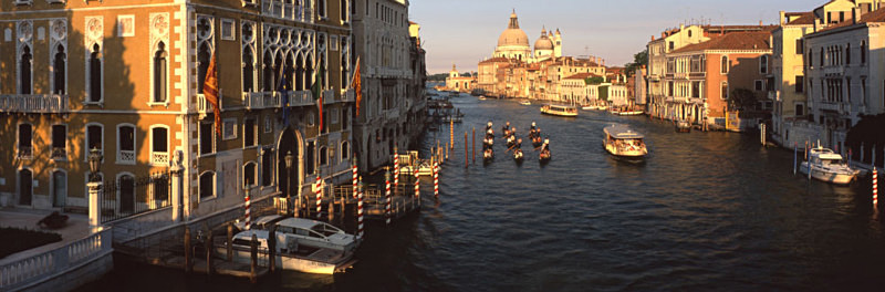 Gondola Flotilla, Grand Canal - Venice