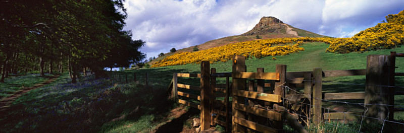 Gateway to the Topping - North Yorkshire and the North York Moors
