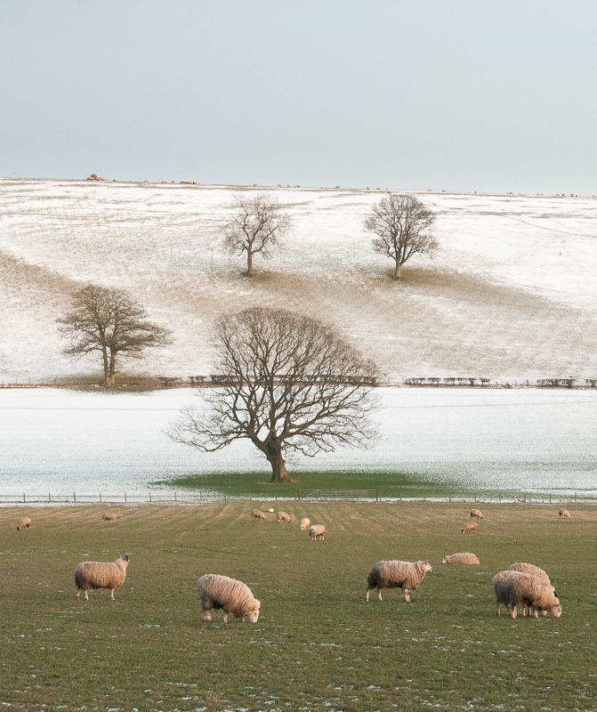 manor farm, easthope