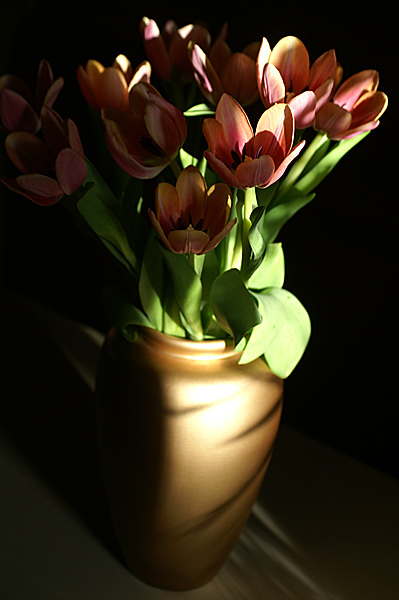 Flowers Set 13 - 05 - Flowers 13