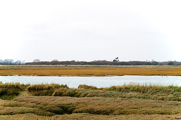 Pagham & Selsey - 05 - Pagham & Selsey