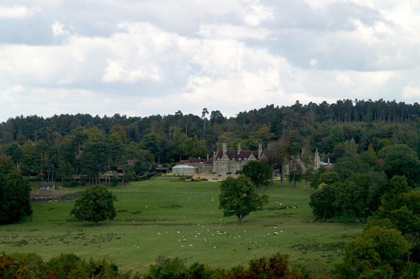 Ashdown Forest 10 - Ashdown Forest