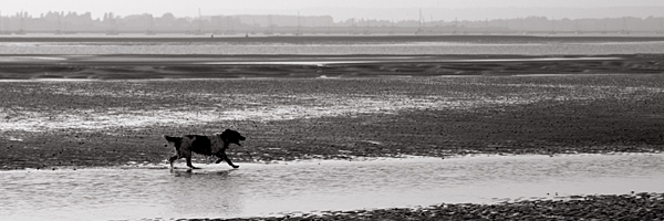 W.Wittering Panoramas - 03 - West Wittering - Panoramas