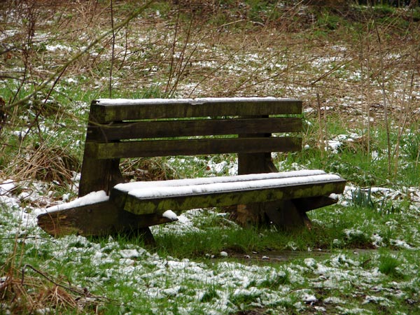  - Winter