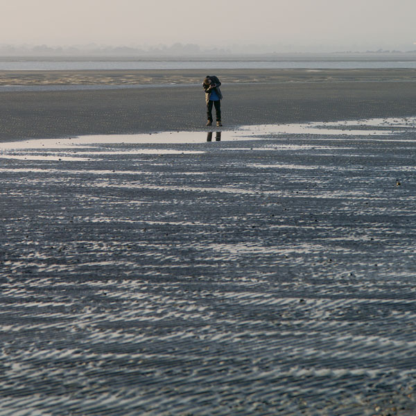 West Wittering - 32 - West Wittering