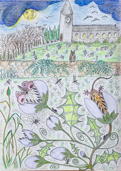 The Vampire's Vine - Illustrated Poetry