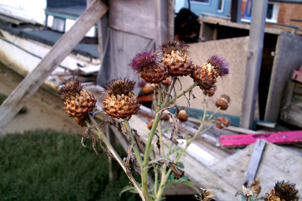 Shoreham Houseboats - 40 - Shoreham Houseboats