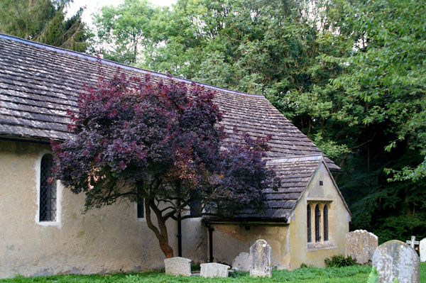 Okewood Churchyard - 05 - Okewood Churchyard