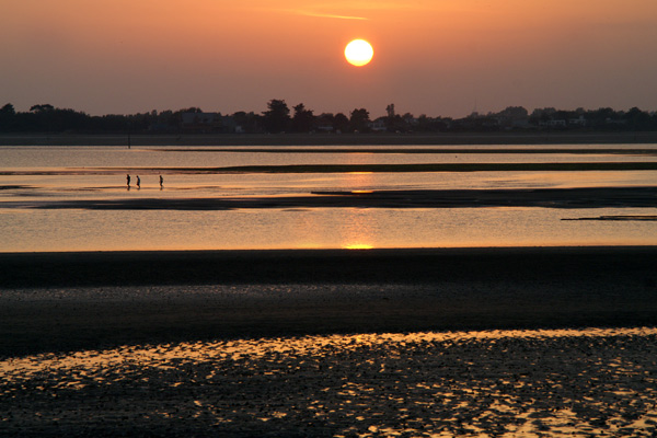 West Wittering - 69 - West Wittering