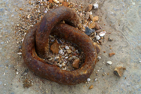 Pagham & Selsey - 34 - Pagham & Selsey