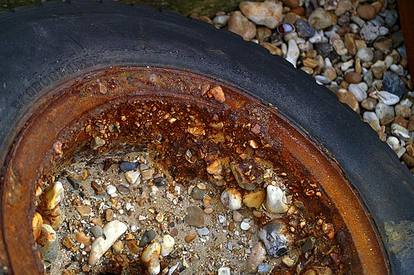 Pagham & Selsey - 32 - Pagham & Selsey