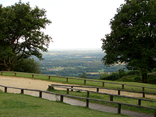 Leith Hill - 10 - Leith Hill