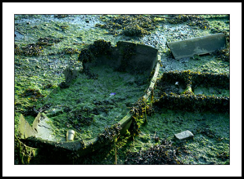 Bosham 11 - Bosham