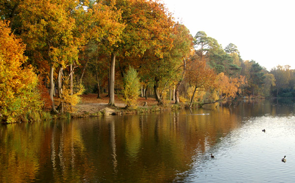 Buchan Park 2 - 02 - Buchan Park 2