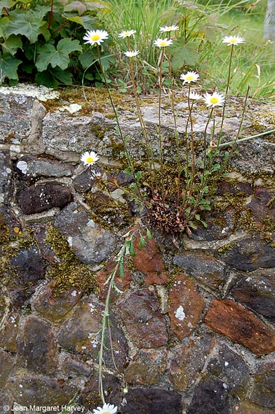 Near Stopham - 32 - Near Stopham