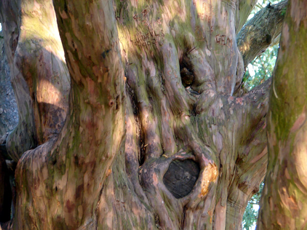 Waverley Set 1 - 34 - Waverley Abbey
