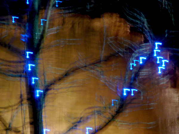 Christmas Lights - 21 - Christmas Lights