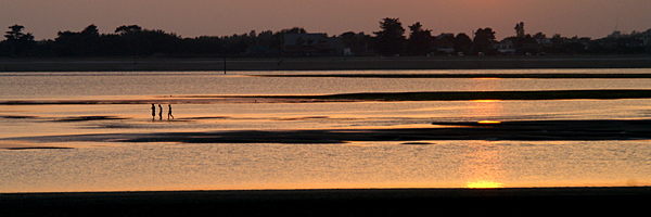 2007 - XIII - 2007