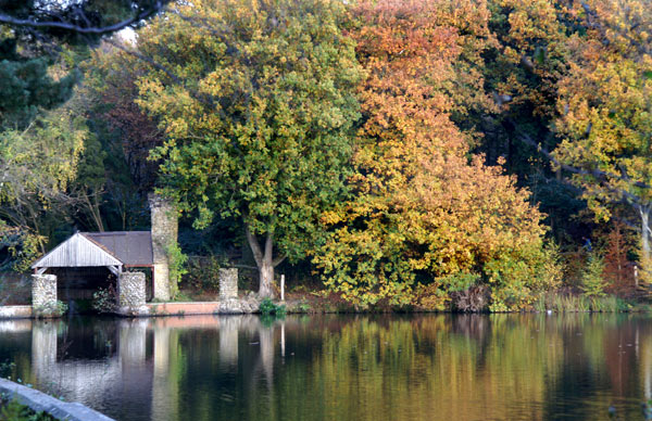 Buchan Park 2 - 05 - Buchan Park 2