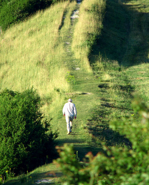 Cissbury 07 - Cissbury Ring