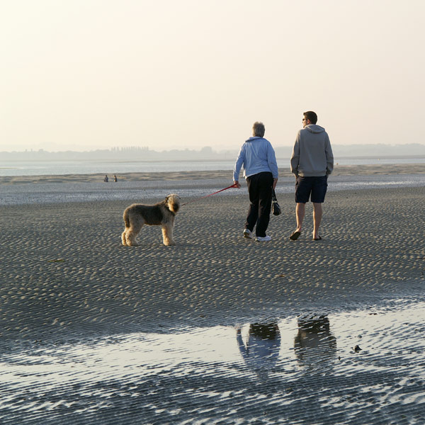 West Wittering - 31 - West Wittering