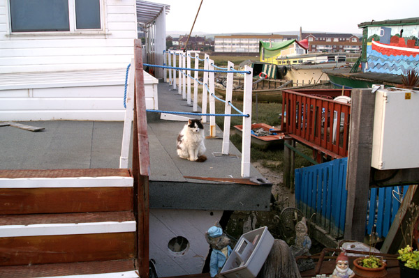 Shoreham Houseboats - 32 - Shoreham Houseboats