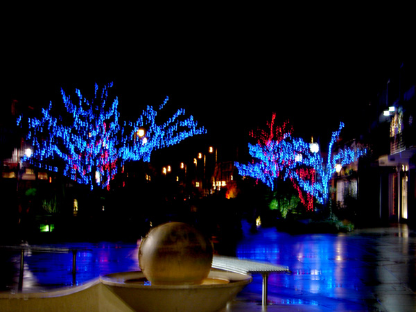 Christmas Lights - 27 - Christmas Lights