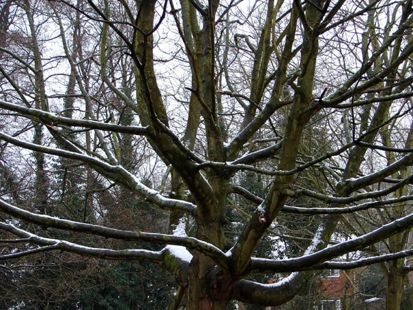  - Winter