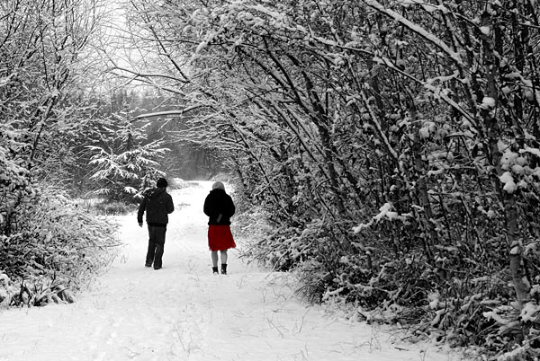 Snow - 32 - Snow