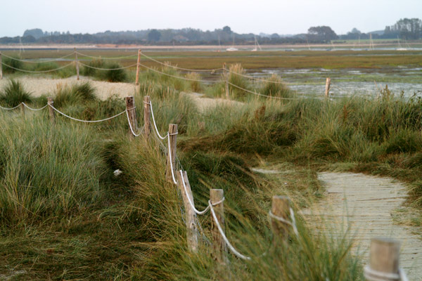 West Wittering - 73 - West Wittering