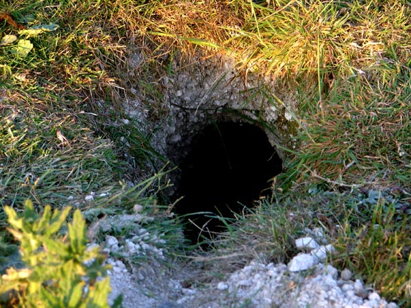 Cissbury 12 - Cissbury Ring