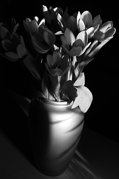 Flowers Set 13 - 06 - Flowers 13