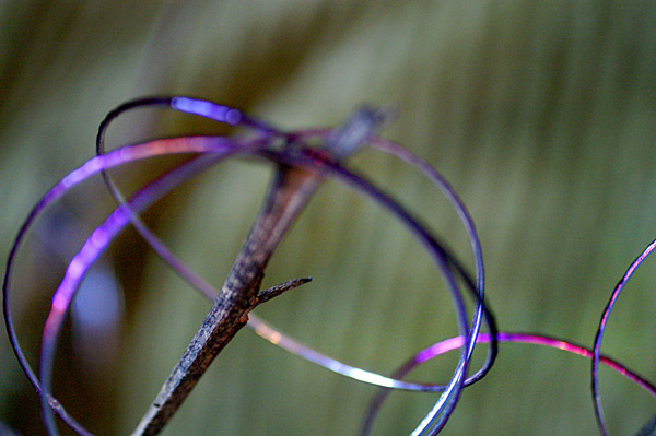 Flowers Set 08 - 37 - Flowers 08