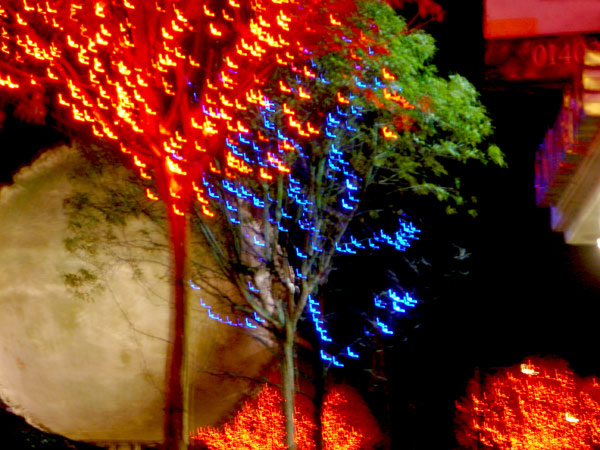 Christmas Lights - 19 - Christmas Lights