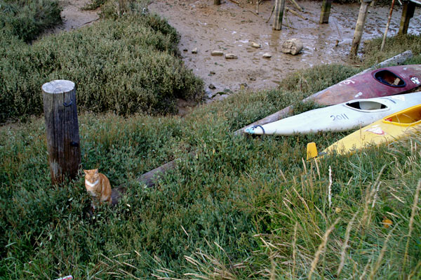 Shoreham Houseboats - 21 - Shoreham Houseboats
