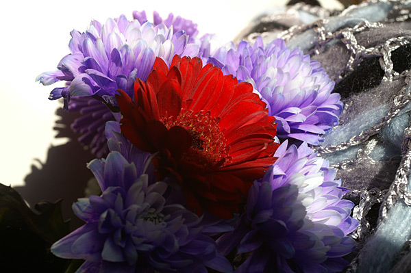 Flowers Set 06 - 15 - Flowers 06