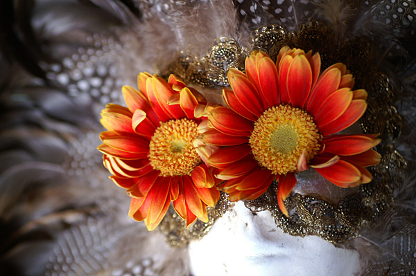 Flowers Set 08 - 08 - Flowers 08