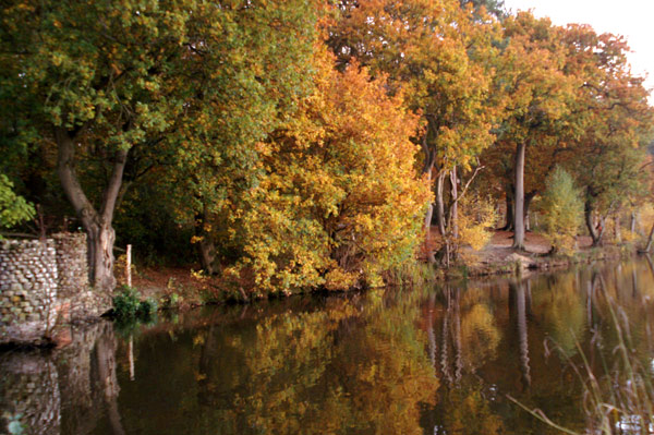 Buchan Park 2 - 21 - Buchan Park 2