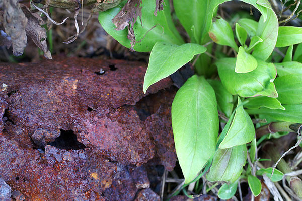 Pagham & Selsey - 30 - Pagham & Selsey