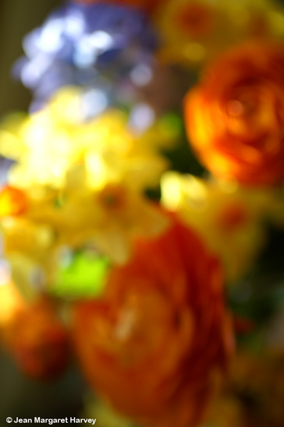 Flowers 16 - 06 - Flowers 16