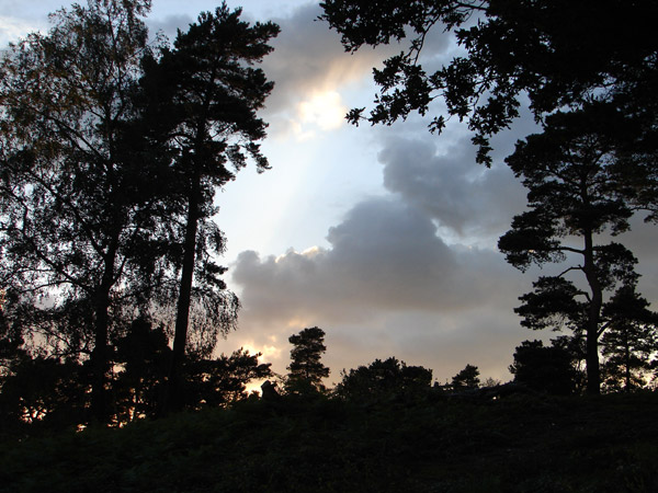 Leith Hill - 15 - Leith Hill