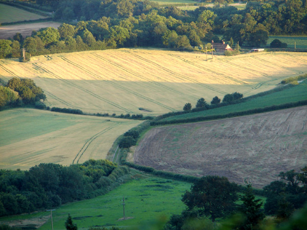 Leith Hill - 14 - Leith Hill