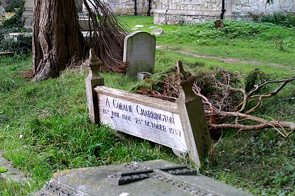 Capel & Leigh - 18 - Capel & Leigh