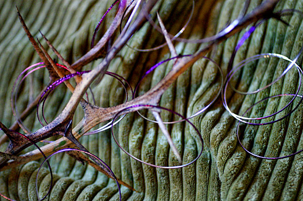 Flowers Set 08 - 32 - Flowers 08