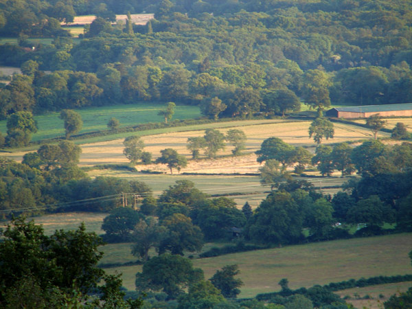 Leith Hill - 12 - Leith Hill