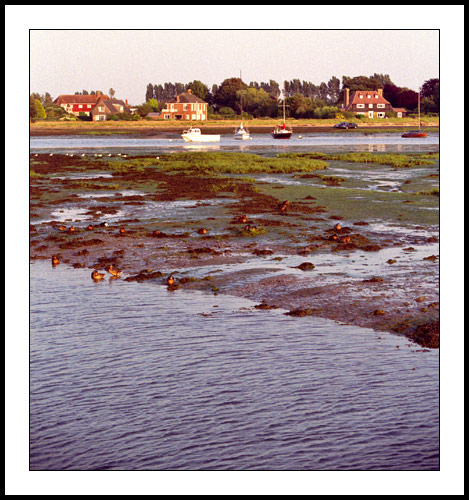 Bosham 13 - Bosham