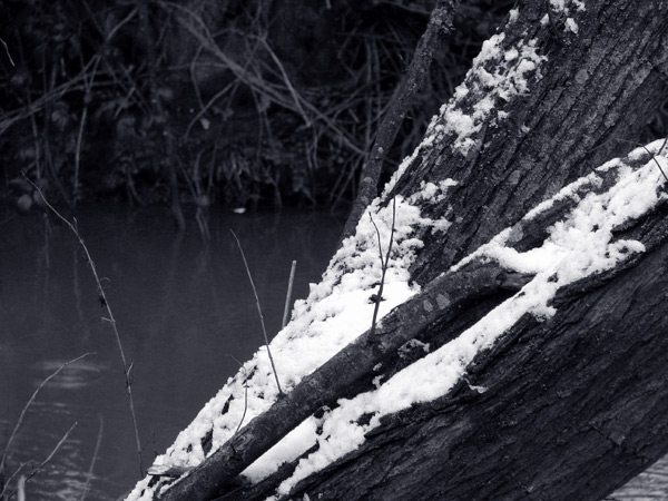  - Winter - tinted