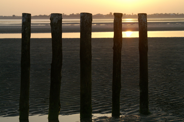 West Wittering - 40 - West Wittering
