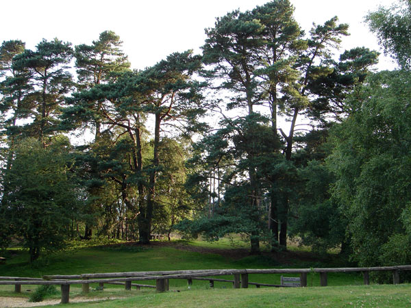 Leith Hill - 07 - Leith Hill